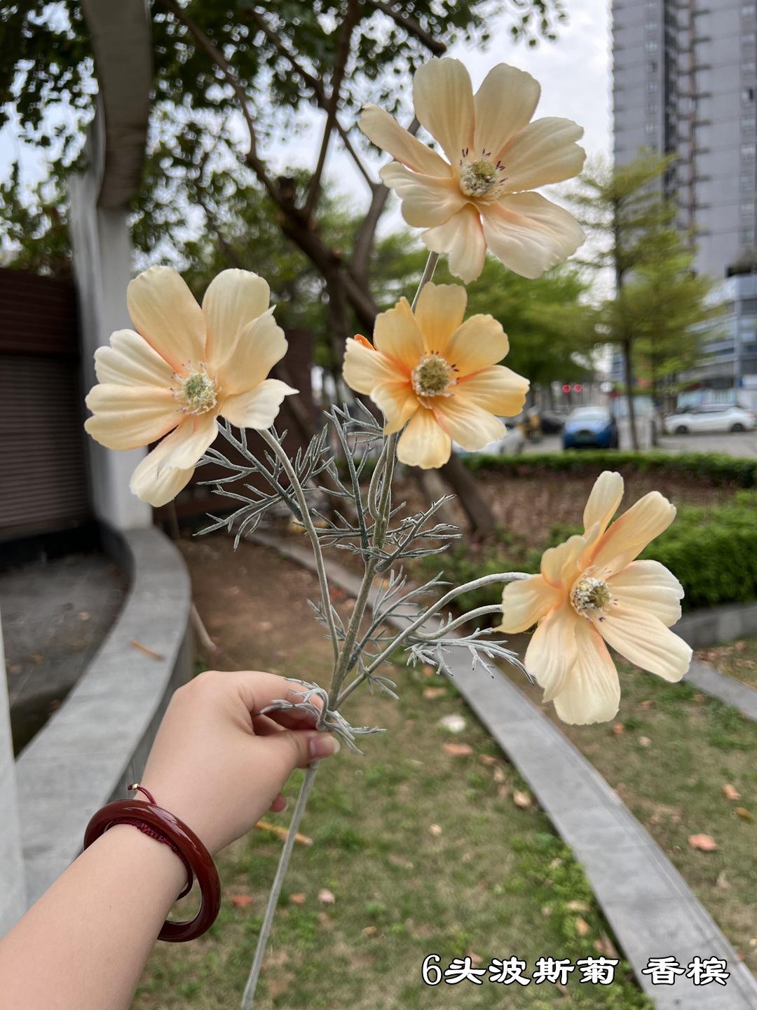 微信图片_20220618155008