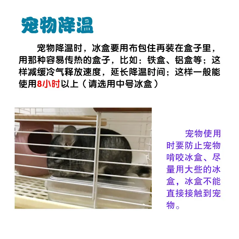 宠物降温20210809.jpg