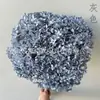 Hortênsia Flor Eterna Anna Hortênsia Bola Grande de Hortênsia Decorativa Artesanal DIY Material Sacola Outlet de Fábrica Yunnan
