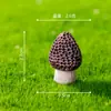 Decoração de Brinquedo Cogumelo Miniatura Acessórios DIY Sacola Surpresa Mini Garrafa Ecológica Enfeites