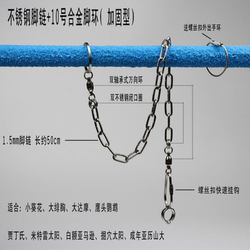 10链