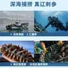 Dalian Pepino de Mar Listo para Comer Pepino de Mar de Liaoning Tienda Principal Pepino de Mar Silvestre Bolsas de 0.5 kg en una Caja