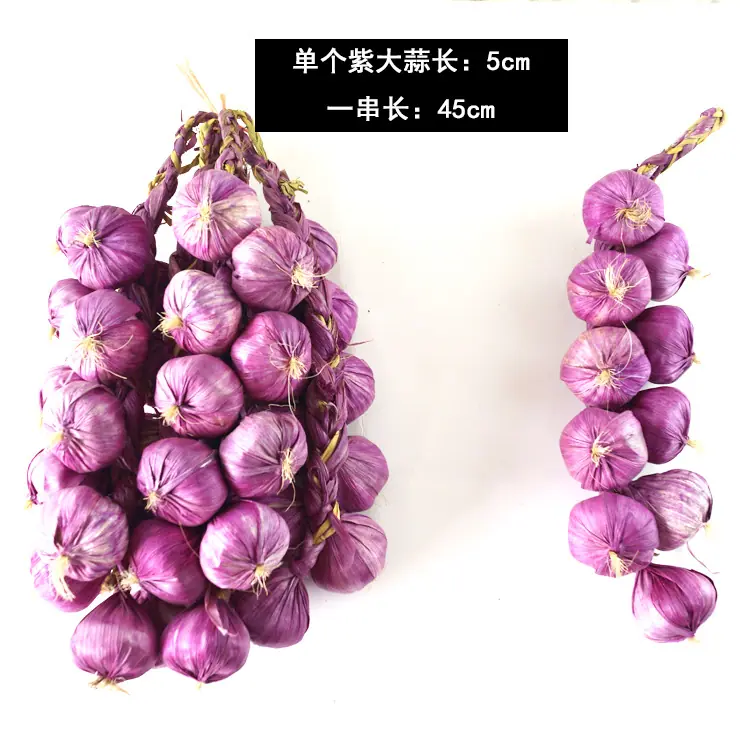 紫大蒜