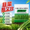 [Específicamente para cebollín] Fertilizante para cebollín para un crecimiento espeso y robusto, promoviendo un crecimiento verde y frondoso y un fuerte desarrollo de raíces en plantas jóvenes; hidrosoluble