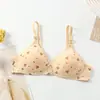 Venta Directa de Fábrica Comercio Exterior Transfronterizo Ropa Interior Femenina Estampada Delgada Hebilla de Dos Filas Sin Aros Sujetador Push-Up Cómodo