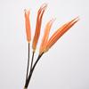 Accesorios fotográficos de flores secas de okra, adornos de flores eternas hechos a mano, decoración del hogar para sala de estar, flores al por mayor