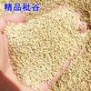 Salvado de cáscara de sorgo rojo grano vacío grano arrugado cáscara de trigo sarraceno cáscara de mijo funda de almohada núcleo de almohada relleno de piel algodón