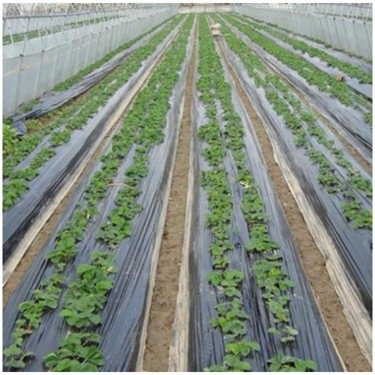 12865776143_859603845