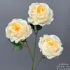 Arranjo de Chão com Flores Artificiais Cor de Champanhe, Rosa de Casamento, Hortênsia, Material de Flores para Corredor de Teto, Arranjo de Decoração para Auditório