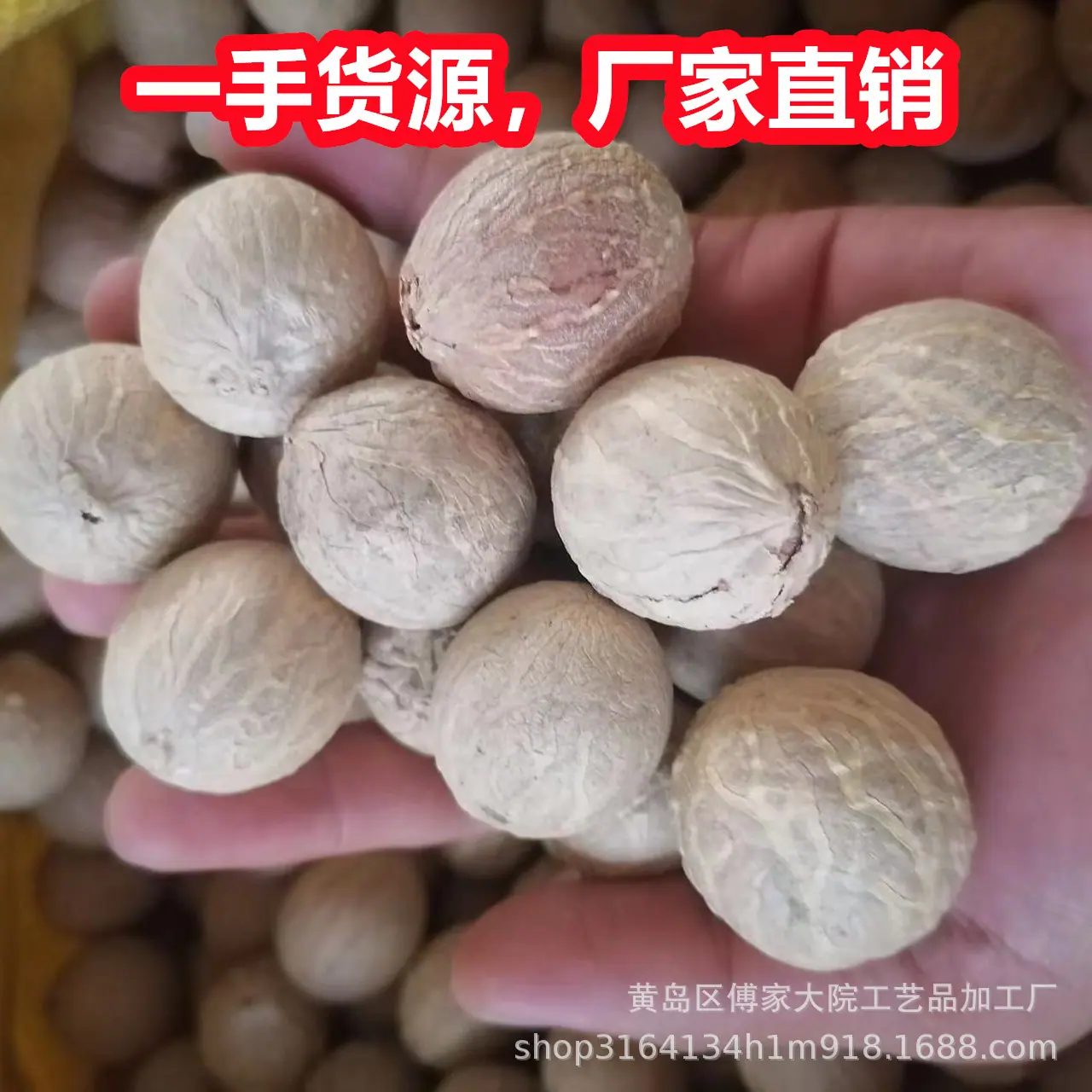 菩提根02.jpg