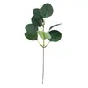 Simulación transfronteriza esquejes de eucalipto rama corta eucalipto diy decorativo eucalipto frutal conjunto de combinación de hojas planta verde artificial