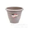 Cumbre Global Maceta Gruesa de Plástico Rosa Planta Suculenta Planta con Maceta Borde Planta Verde Bandeja de Balcón