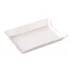 Prato especial para incenso de churrasco inclinado de melamina freezer comercial display de buffet prato opcional prato de plástico para hot pot louça