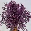Hierba de Cristal Flor Eterna Caja de Flores Secas Manualidades|Regalos Empresariales Flores Flores Hechas a Mano