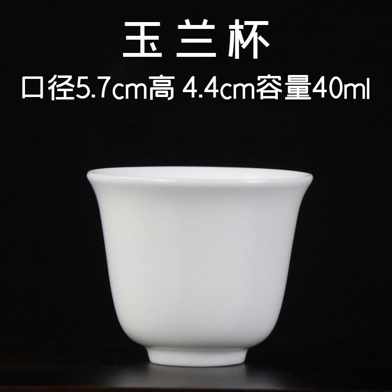 玉兰杯.jpg