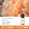 Vela de Aromaterapia para Plantas Transfronteriza Aceite Esencial Aceite Único Soluble en Aceite Jabón Artesanal DIY Jabón en Frío Bálsamo Vela Aceite Esencial de Aromaterapia