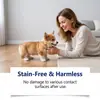 Spray de Treinamento Sanitário para Pets Guia Diário para Gatos e Cachorros Defecarem em um Lugar Fixo, Spray Conveniente para Treinamento em Casa