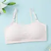 Sutiãs de Desenvolvimento para Alunas do Ensino Médio, Regatas Plus Size Juvenis, Camisolas de Estudante, Tops Tubulares de Algodão Transfronteiriços