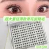 Cílios Postiços Azuis e Brancos Leves Tipo Adesivo de Super Volume, Novo Estilo, Estilo Manga Natural Realista, Uso Diário, Segmentados para Conveniência