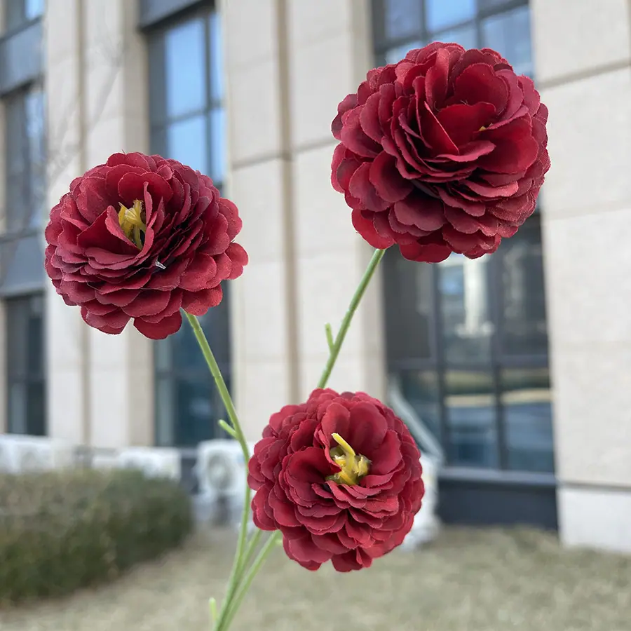 3头特慧丁香花-酒红.JPG