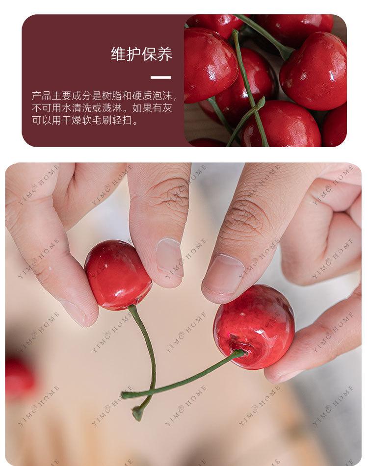D68仿真水果·樱桃-750_19.jpg