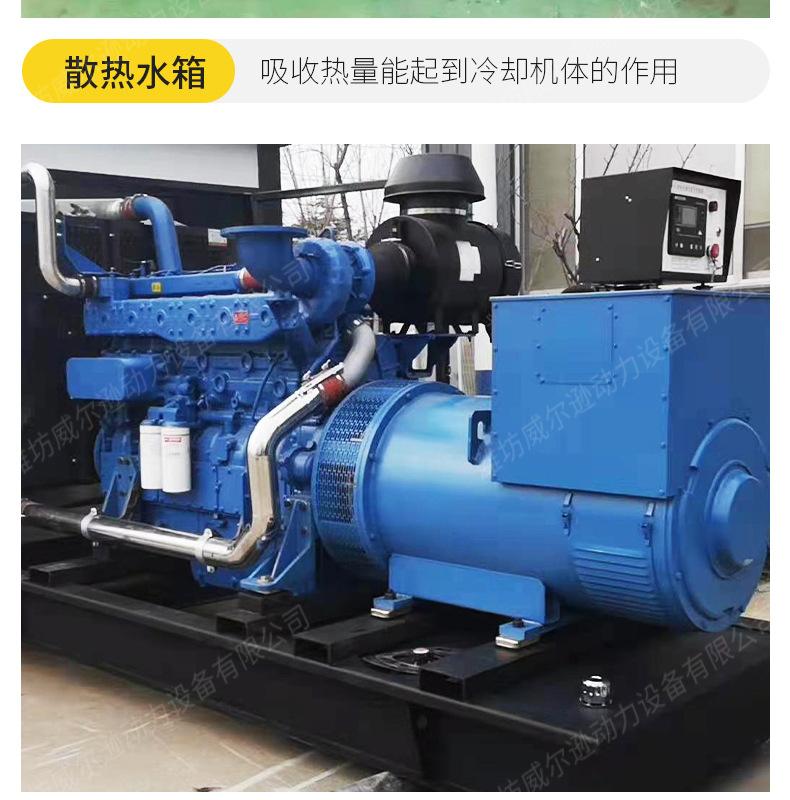 玉柴500千瓦发电机组_09.jpg