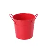 Fornecimento Transfronteiriço de Flores Coloridas para Jardim, Plantas Verdes Suculentas, Arranjos Florais, Baldes de Ferro Metálico, Latas de Armazenamento de Papelaria para Mesa