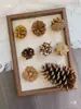 Paquete de materiales DIY hecho a mano flores mixtas plantas flores secas estilo bosque de jardín de infantes creación de anillos decoración piñas de Navidad