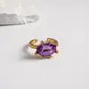 Anillo Abierto Geométrico Floral Ovalado Incrustado de Diamantes de Lujo Ligero Europeo y Americano Anillo para el Dedo Índice de Alto Gama de Nicho Transfronterizo Joyería de Mano con Personalidad