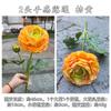 Fabricante de Flores Artificiais Laranja Pôr do Sol, Laranja Vermelho Pôr do Sol Arco para Corredor de Casamento com Tema de Outono Decoração Suave Flores Artificiais Atacado