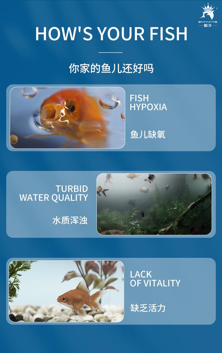 中英文详情_05.jpg