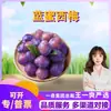 Seleção Premium Ameixas Azuis de Mel Shaanxi Weinan Fruta Fresca da Estação 1/3/ 2,5kg Casca Azul-Roxa, Polpa Amarela Ameixa