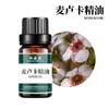 Aceite Esencial de Manuka Pino de Manuka tabulaeformis Aceite de Ciruela Roja Aceite Esencial Vegetal Unilateral Materia Prima Diaria