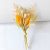 Flores Secas da Amazonia Transfronteiriças, Flores Preservadas, Mini Buquês, Mini Lapelas, Caixas de Presente e Buquês Prontos