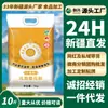 Harina Chuangxing Xinjiang Qitai 5 kg Harina Copo de Nieve Directo del Fabricante Harina de Trigo Alto Gluten para Panes al Vapor y Dumplings