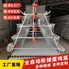 El equipo para la avicultura incluye jaulas para pollos ponedoras con escalera, jaulas de alambre, cintas transportadoras, sistemas automáticos de limpieza de estiércol, comederos para pollos y sistemas automáticos de suministro de agua.