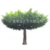 Árvores Banyan Artificiais Personalizadas para Paisagismo Interno, Decoração de Colunas, Árvores Artificiais para Paisagens de Hotéis, Fabricante de Árvores de Cimento