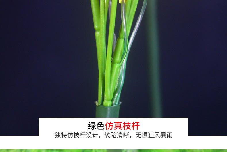 详情_01_18.jpg