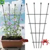 Treliça de Escalada para Jardim para Clematis, Rosa Neve Azul, Suporte de Flores em Forma de Leque, Suporte Pequeno de Vara para Planta Jiboia