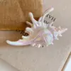 Pinza de Concha Acrílica, Pinza para el Cabello Trasera Estilo Resort de Playa, Pinza de Tiburón con Sentido del Diseño, Accesorio para el Cabello de Diseño de Nicho