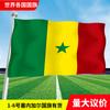 Bandera de Senegal países de todo el mundo Asia Europa África América Oceanía banderas coloridas banderas de cuerda banderas para ondear a mano