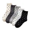 Calcetines de otoño e invierno, calcetines dulces de encaje para niña, calcetines de media pantorrilla para mujer, calcetines holgados de lunares, calcetines Zhuji