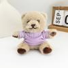 Lindo lindo suéter oso colgante juguete de peluche oso de peluche muñeca colgante de bolsa llavero de muñeca