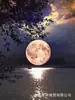 Pintura de Diamantes DIY Llena de Diamantes Luna Árbol Diamante Cuadrado/Diamante Redondo Mosaico Paisaje Flor Bordado de Arte con Diamantes Pedrería Hogar