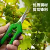 Tijeras de Jardín de Acero Inoxidable, Tijeras Portátiles para Uvas para Exteriores, Tijeras de Podar Ramas de Árboles Frutales y Melones en Maceta, Ramas Gruesas, Verde