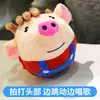 Pelota Saltarina Musical Algas Cerdito Saltarín Conejo Perro Hablante Sacudir Tono Igual Pinball Infantil Juguete de Peluche Cargado Eléctrico