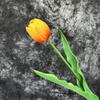 Flor Artificial Tulipán de PU Tacto Hidratante Flor Artificial Ramo de Rama Alta Fotografía Foto Ramo de Flores Tulipán Grande