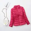 Jaqueta de Penas Portátil Leve para Mulheres, Outono e Inverno, Gola Alta, Casual, Cor Sólida, Simples, Modelagem Justa, Casaco Leve, Roupa de Inverno