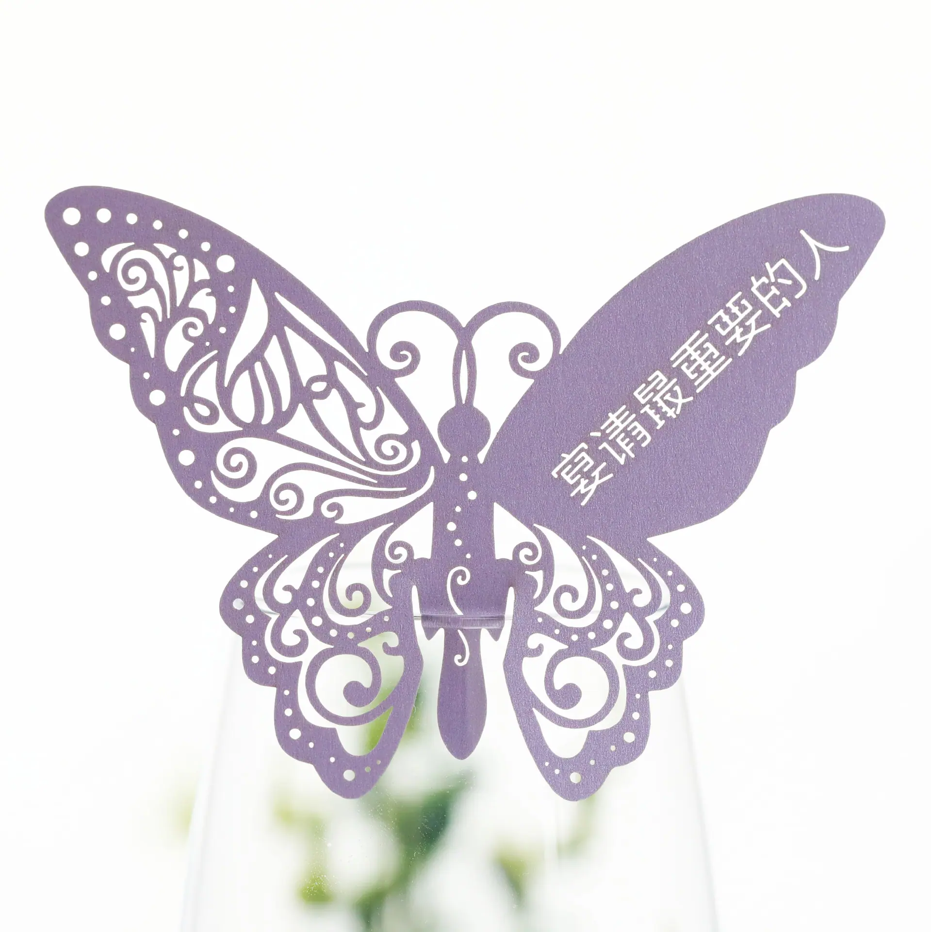 9R3A2889丁香紫