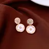 Brincos Redondos de Flor em Resina Zircônia Agulha de Prata, Luxo Leve, Brincos Requintados e de Alto Padrão, Brincos Modernos e Elegantes para Mulheres